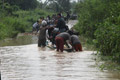 Banjir di Mura rendam...