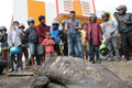 Bangkai ikan raksasa...