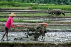 Jateng kekurangan ribuan...