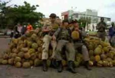 Berburu durian di Wonosalam