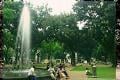 Pengamat menilai, Lembah...