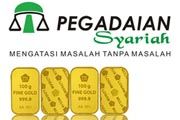 Jaring nasabah, Pegadaian...