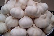 Harga bawang putih meroket...