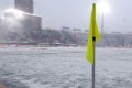 Bologna v Fiorentina...