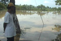 75 hektare sawah terendam,...