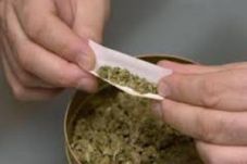 Nyambi jual ganja, sopir...