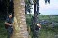 Sergap pengikut Kesultanan...