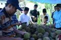 Sebelum dijual, satu...
