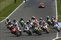Sirkus WSBK di Australia...