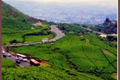 Kelola Puncak Darajat,...