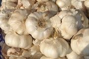 Pedagang bakso dan tukang...