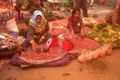 Liarnya harga bawang