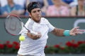 Del Potro tantang Nadal...