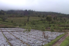 Kawah Timbang berbahaya,...
