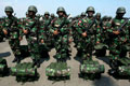 Diadili Pengadilan Militer,...