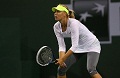 Sharapova yakin angkat...