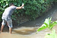 Kolam limbah sawit bocor,...