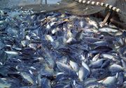 Ajak perbankan, masalah...