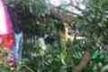 4 rumah dan 2 toko hancur...