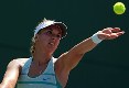 Lisicki selamatkan muka...