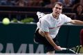 Janowicz digulingkan...