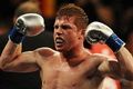 Canelo enggan lepas...
