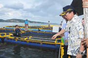 Menteri KP: Usaha budidaya...
