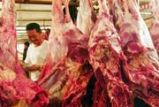 Mentan: Harga sapi hidup...