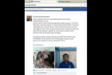 Heboh didunia maya,...