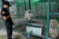 Polisi Thailand sita...