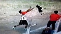 Lempar anjing, pemain...