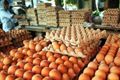 Harga telur merangkak...
