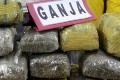 Pesta ganja, oknum PNS...