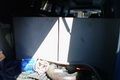 Isuzu Elf disulap jadi...