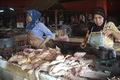 Pedagang daging Purbalingga...