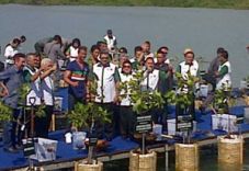 Resmi jadi duta mangrove,...