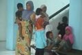 Pengungsi Syiah berharap...