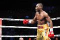 Hearn: Stevenson wajib...