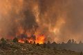 Kebakaran hutan di Arizona...
