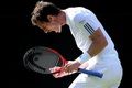 Pengalaman bikin Murray...