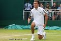 Janowicz berharap Murray...
