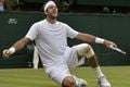 Ladeni Djokovic, Del...