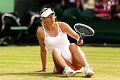 Cedera, Sharapova batal...