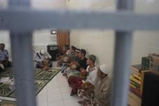 Napi di Wates dikenalkan...