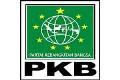 PKB minta jumlah capres...