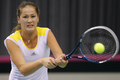 Jovanovski dipermalukan...