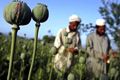 Polisi Afghanistan sita...