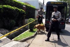 2 anjing diterjunkan,...
