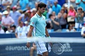 Kalah, Djokovic akui...
