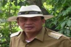 Dipecat Demokrat, WH...